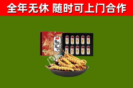 德江回收冬虫夏草价格